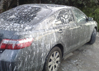 This Is Exactly How Bird Poop Can Damage Your Car Paint in Just 1 Day