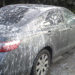 This Is Exactly How Bird Poop Can Damage Your Car Paint in Just 1 Day