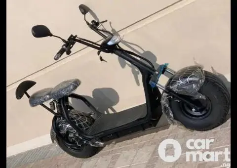 Citycoco golf electric scooters with fat tires - 2/3