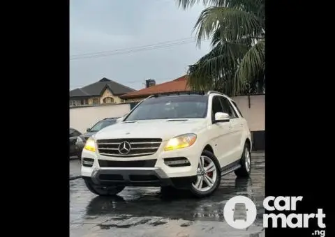 Tokunbo 2013 Mercedes Benz ML350 - 1/5