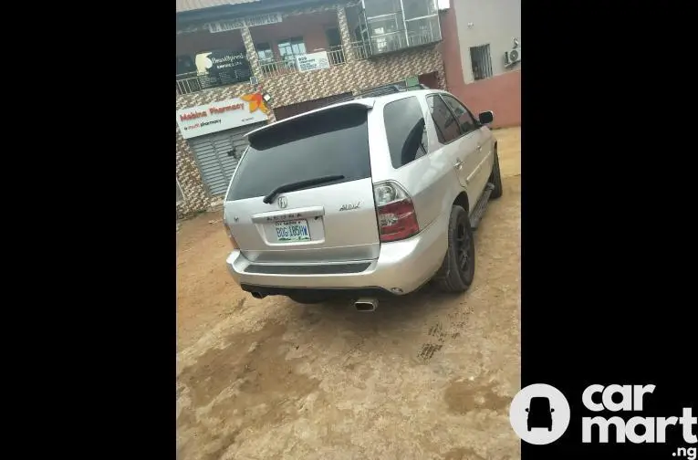 Clean First Body 2006 Acura MDX - 5/5