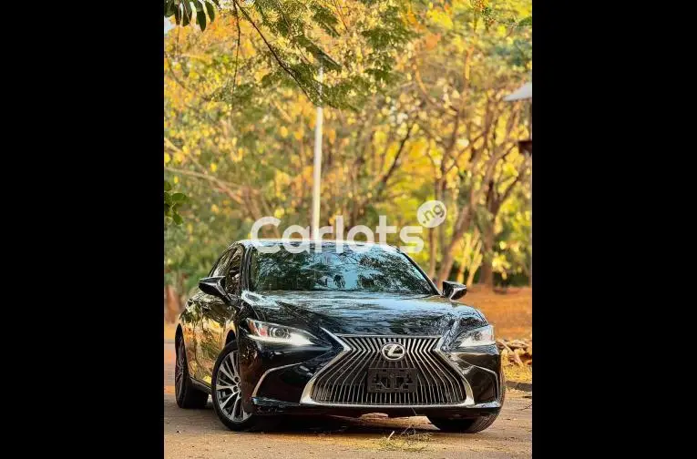 FOREIGN USED 2019 LEXUS ES350 - 1/5