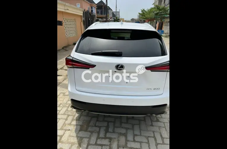 Foreign Used 2018 Lexus NX 300 F-sport - 5/5