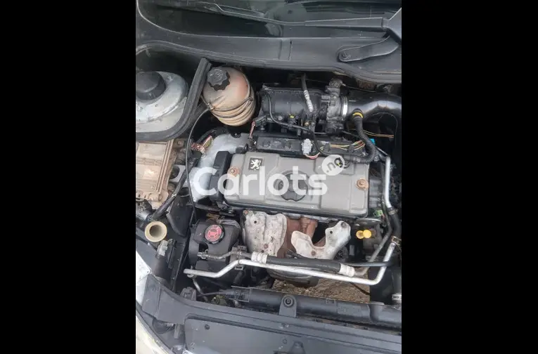 Extremely clean used 2006 Peugeot 206 - 3