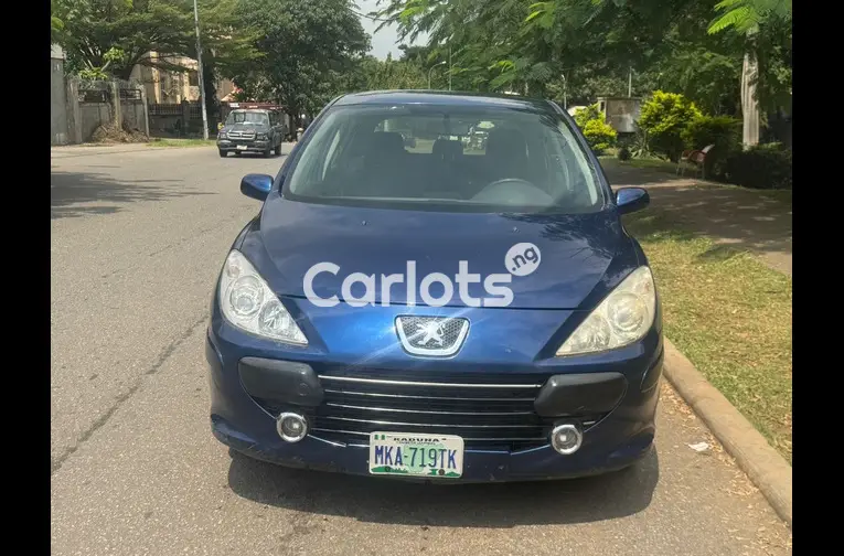 Used Peugeot 307 2004 for sale in Garki