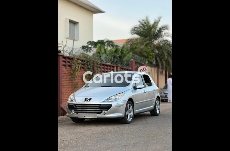 TOKS STANDARD 2007 PEUGEOT 307 - 1/7