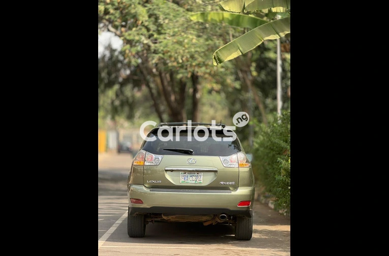 2007 LEXUS RX 350 - 7/7
