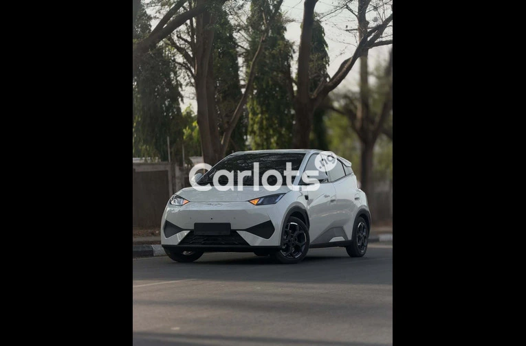 Brand New 2025 BYD Seagull
