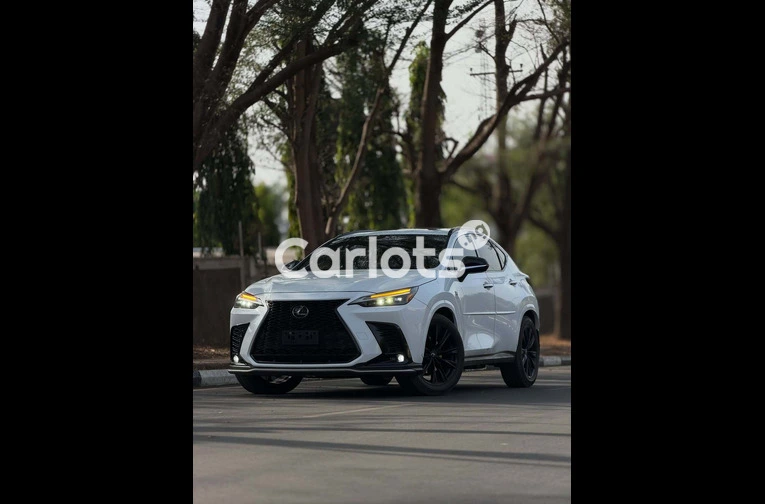 2023 Lexus NX 350 FOREIGN USED - 1/7