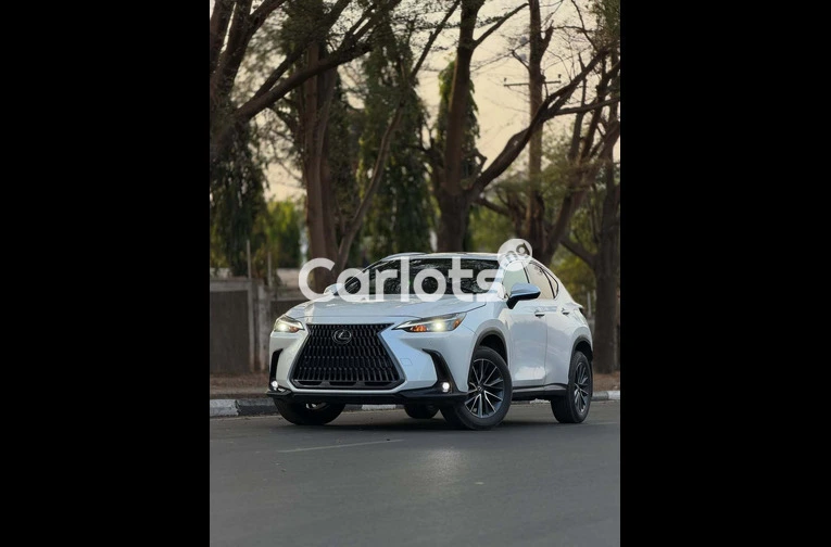 Lexus NX 250 2024 FOREIGN USED - 1/7