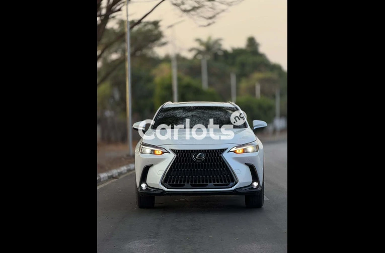 Lexus NX 250 2024 FOREIGN USED for sale in Asokoro, FCT - photo 2 of 7