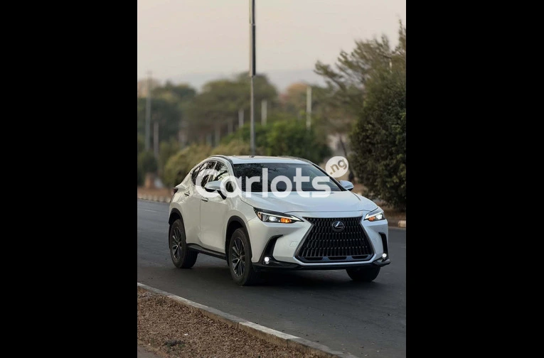 Lexus NX 250 2024 FOREIGN USED for sale in Asokoro, FCT - photo 3 of 7