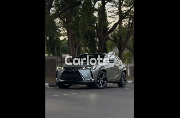 2024 LEXUS UX200 - 1/7