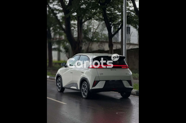 Brand New 2025 BYD Seagull - 7/7