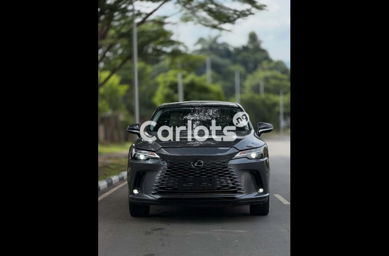Foreign Used 2024 Lexus RX350 for sale in Asokoro, FCT - photo 2 of 7