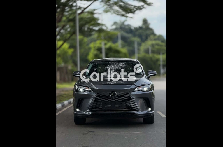 Foreign Used 2024 Lexus RX350 for sale in Asokoro