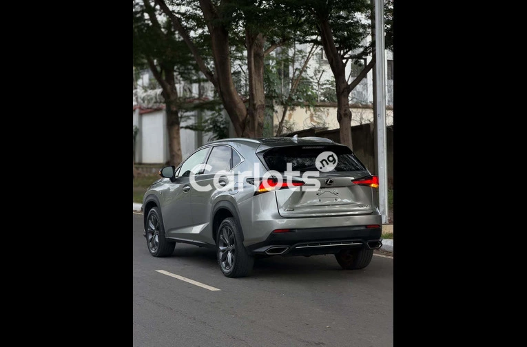 2022 Lexus NX300 F SPORT - 7/7