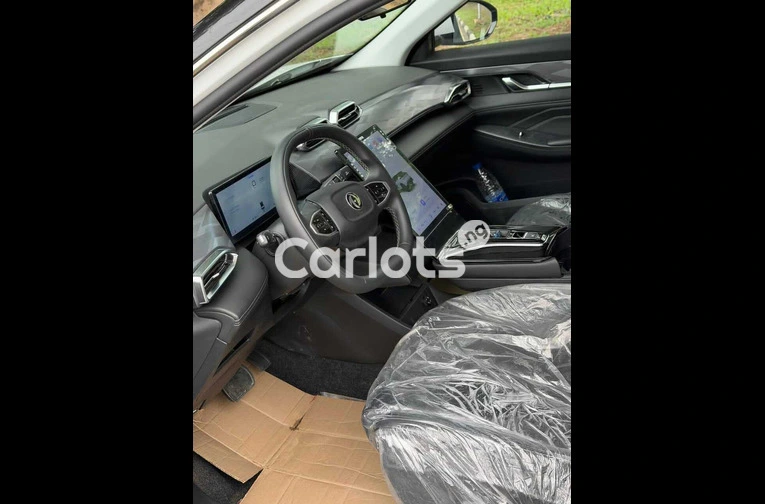 Brand-new Dongfeng 2025 - 3/7