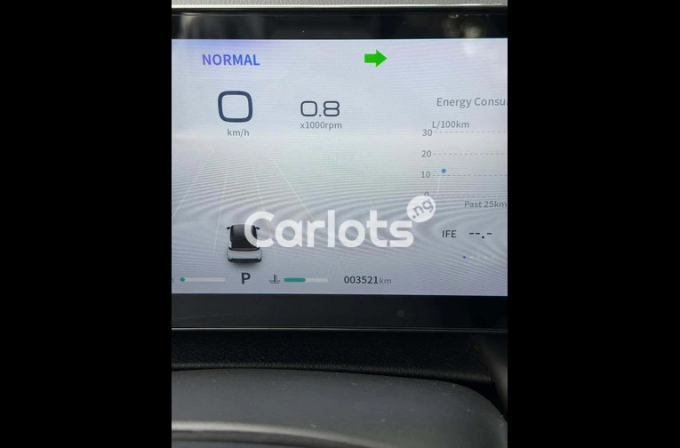 Brand-new Dongfeng 2025 - 6/7