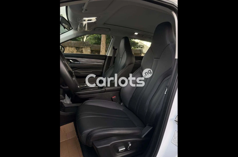Brand New 2025 Dongfeng Mage - 6/7