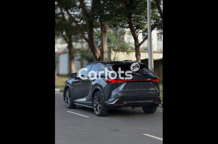 2024 Lexus RX350 - 7/7