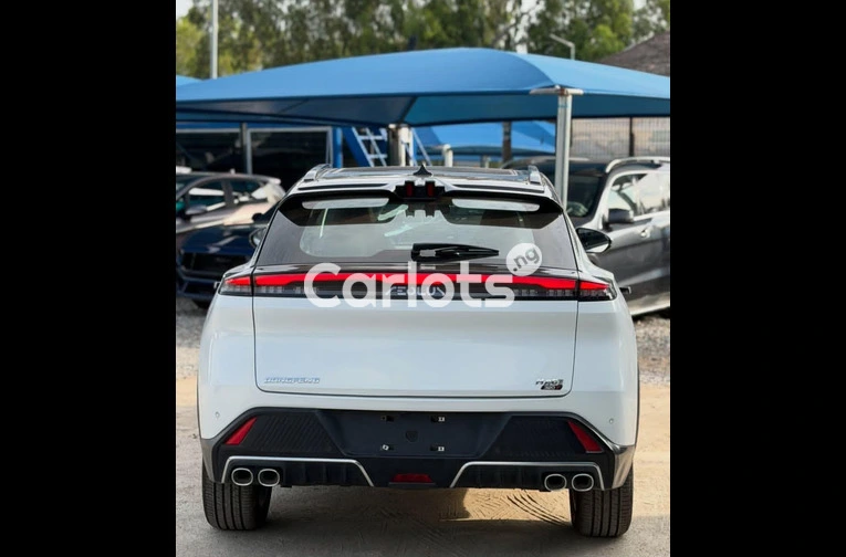 DONGFENG 2025 - 6/6