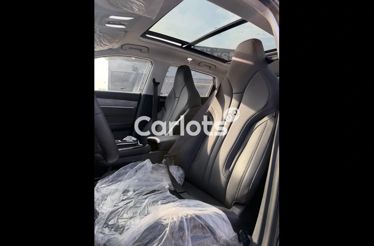 DONGFENG 2025 - 5/6