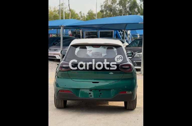 Brand New 2025 Dongfeng Nammi - 7/7