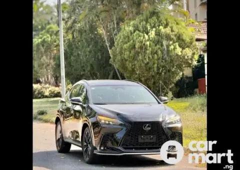 Foreign used 2023 Lexus NX200t - 1/5