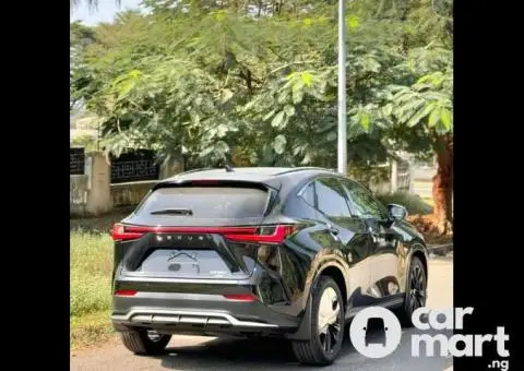 Foreign used 2023 Lexus NX200t - 5/5