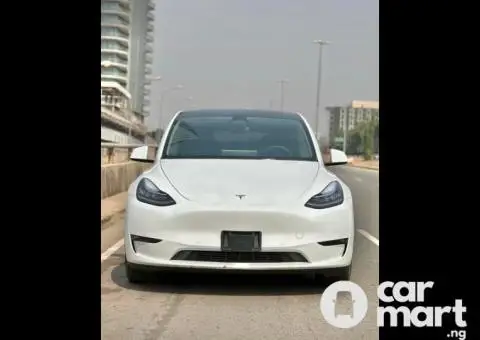 2023 Tesla Model Y Dual Motor - 1/5