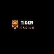 CasinoTiger