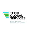 TEBIK Global Services