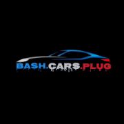 Bash Cars Plug